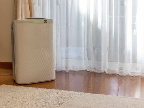 5 najlepszych oczyszczaczy powietrza dla alergików, aby utrzymać dom w czystości i zdrowiu